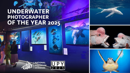 Underwater Photographer of the Year 2025