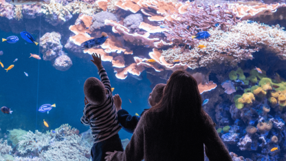 Vi har åbent hele juleferien