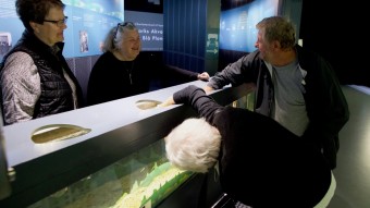 Danmarks Akvarium fejrede 80 år, der gik i fisk