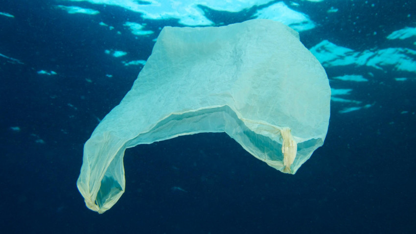 Forskningens Døgn 2022 – Plastik på menuen