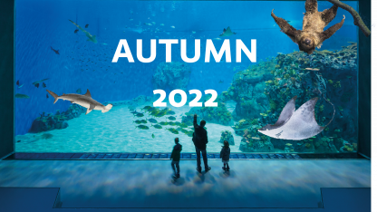 Autumn 2022