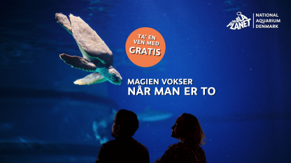 Ta’ en ven med-tilbud