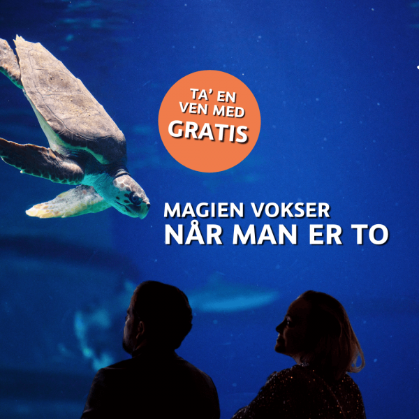 Ta’ en ven med-tilbud