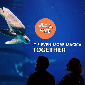 Bring a Friend Offer