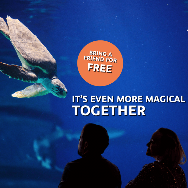 Bring a Friend Offer