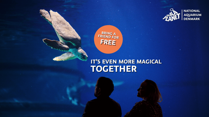 Bring a Friend Offer