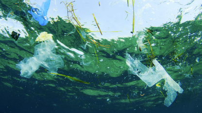 Norden har fået mere fokus på plastik i havene