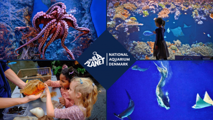 Der sker noget mystisk i efterårsferien