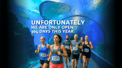 National Aquarium Denmark, will be closed on 15 June due to The Bridge Run 2025
