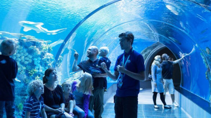 Nordeuropas största akvarium med fantastiska upplevelser