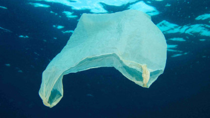 3 måder plastik skader havet på