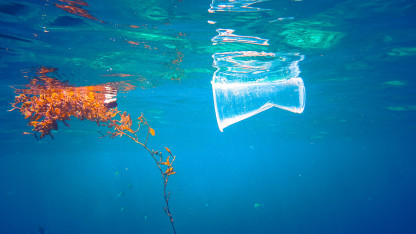 An Ocean free of Plastic