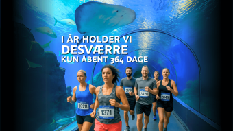 Den Blå Planet holder lukket d. 15. juni pga. Broløbet 2025