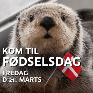 Fødselsdag