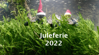 Juleferie 2022