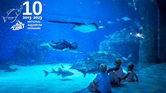 Den Blå Planet, Danmarks Akvarium fylder 10 år