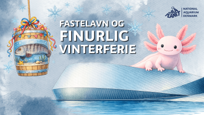 Vinterferie under overfladen