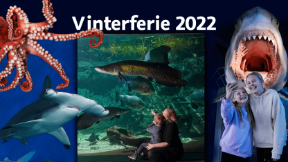 Vinterferie 2022