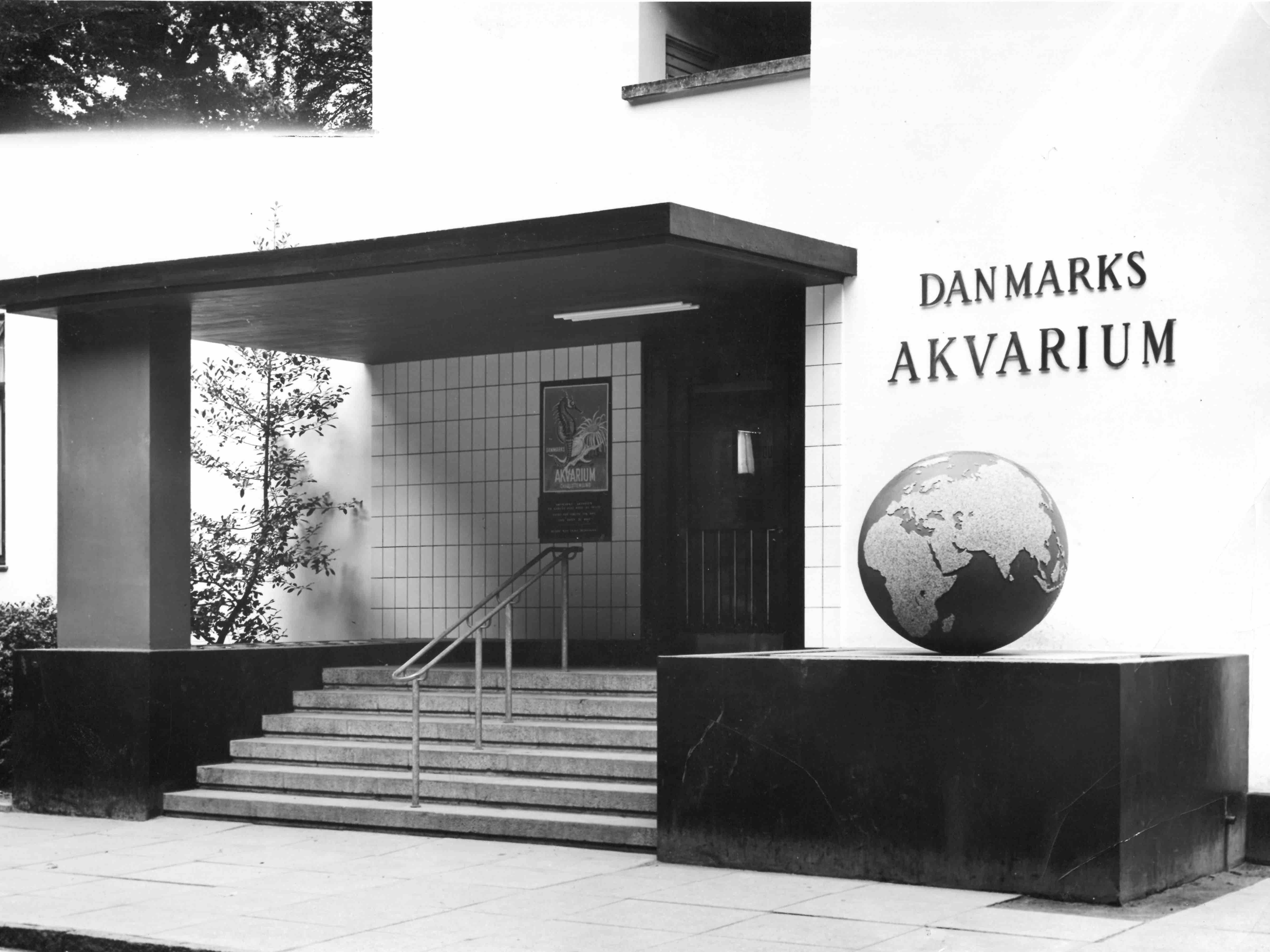 bibliotek Turbine beslutte Danmarks Akvarium: En drøm der gik i opfyldelse | Den Blå Planet