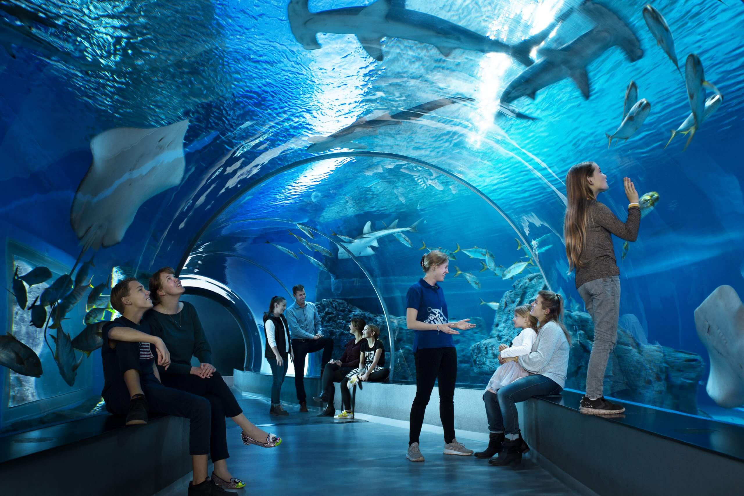 Annual pass Den National Aquarium Denmark | Den Blå